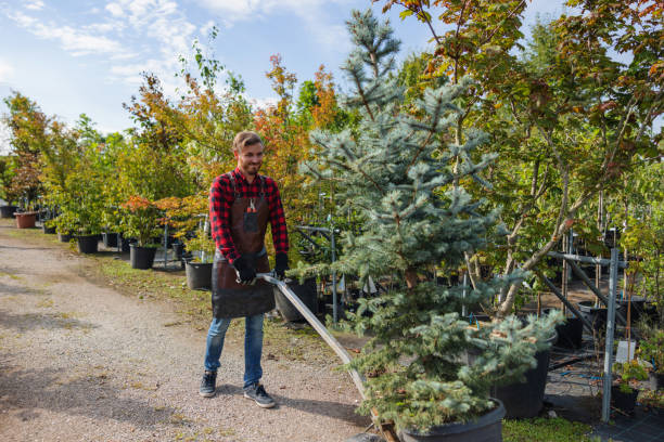 Best Weed Control  in Ashburn, VA